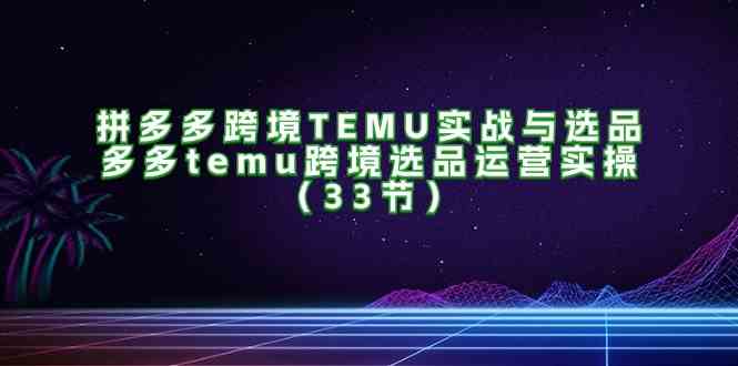 拼多多跨境TEMU实战与选品，多多temu跨境选品运营实操（33节）-怡宝聊项目