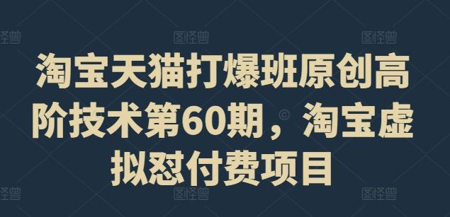 淘宝天猫打爆班原创高阶技术第60期，淘宝虚拟怼付费项目-怡宝聊项目
