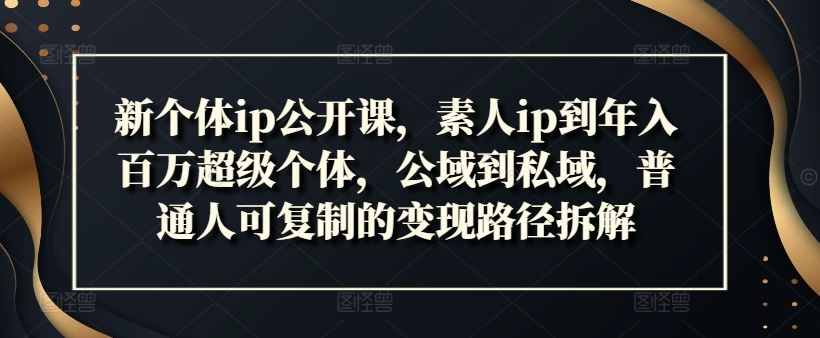 新个体ip公开课，素人ip到年入百万超级个体，公域到私域，普通人可复制的变现路径拆解-怡宝聊项目
