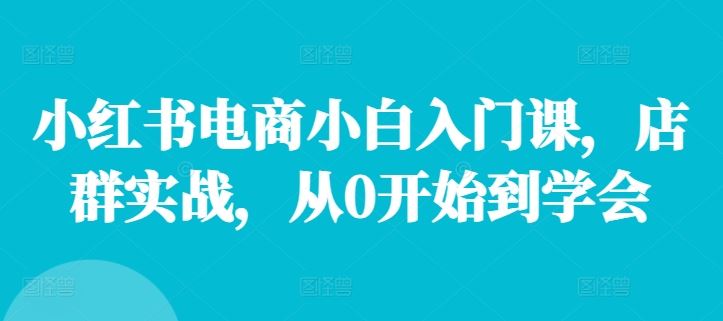 小红书电商小白入门课，店群实战，从0开始到学会-怡宝聊项目