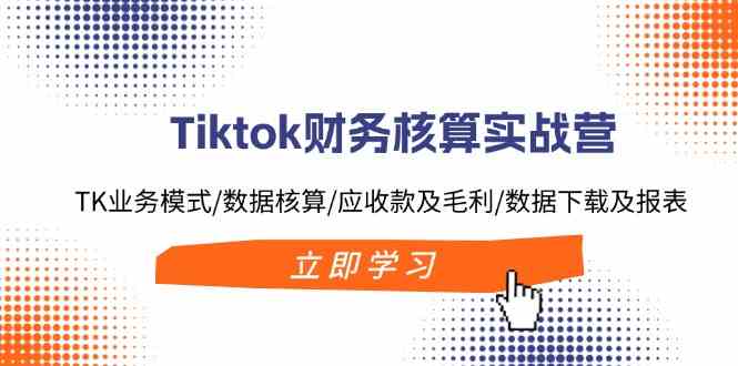 Tiktok财务核算实战营：TK业务模式/数据核算/应收款及毛利/数据下载及报表-怡宝聊项目