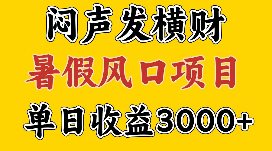 30天赚了7.5W 暑假风口项目，比较好学，2天左右上手-怡宝聊项目
