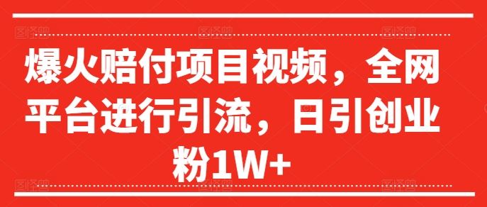 爆火赔付项目视频，全网平台进行引流，日引创业粉1W+【揭秘】-怡宝聊项目