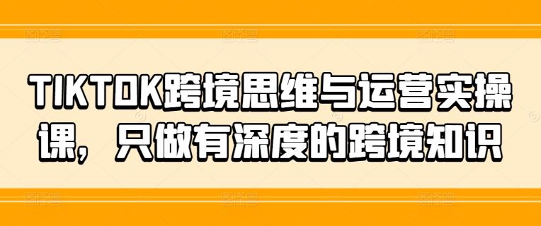 TIKTOK跨境思维与运营实操课，只做有深度的跨境知识-怡宝聊项目
