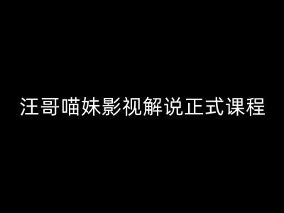 汪哥影视解说正式课程：剪映/PR教学/视解说剪辑5大黄金法则/全流程剪辑7把利器等等-怡宝聊项目