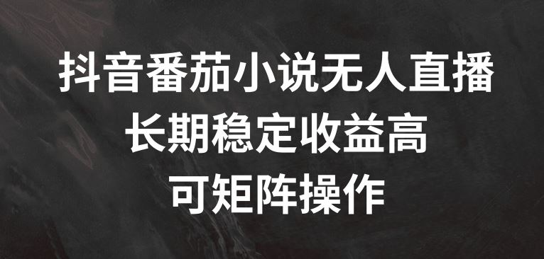 抖音番茄小说无人直播，长期稳定收益高，可矩阵操作【揭秘】-怡宝聊项目
