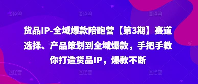 货品IP全域爆款陪跑营【第3期】赛道选择、产品策划到全域爆款，手把手教你打造货品IP，爆款不断-怡宝聊项目