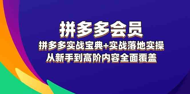 拼多多会员实战宝典+实战落地实操，从新手到高阶内容全面覆盖-怡宝聊项目