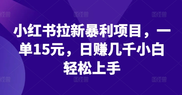 小红书拉新暴利项目，一单15元，日赚几千小白轻松上手-怡宝聊项目