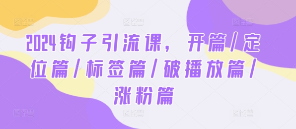 2024钩子引流课，开篇/定位篇/标签篇/破播放篇/涨粉篇-怡宝聊项目