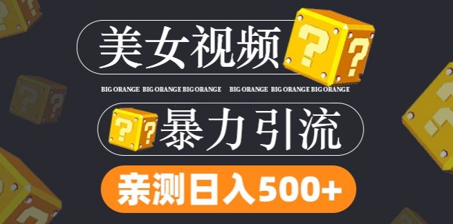 搬运tk美女视频全网分发，日引s粉300+，轻松变现，不限流量不封号-怡宝聊项目