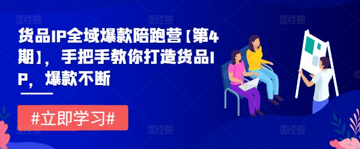 货品IP全域爆款陪跑营【第4期】，手把手教你打造货品IP，爆款不断-怡宝聊项目