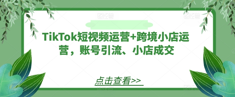 TikTok短视频运营+跨境小店运营，账号引流、小店成交-怡宝聊项目