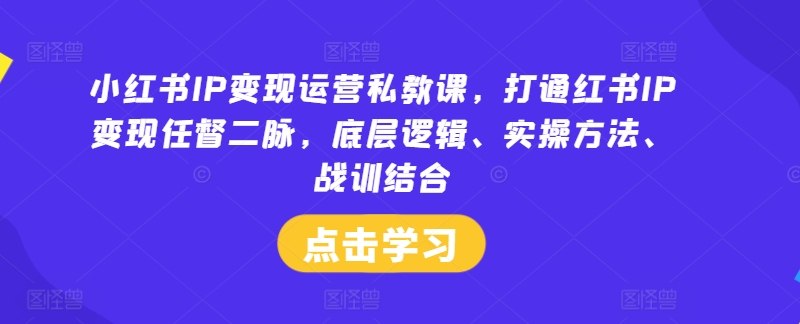 小红书IP变现运营私教课，打通红书IP变现任督二脉，底层逻辑、实操方法、战训结合-怡宝聊项目