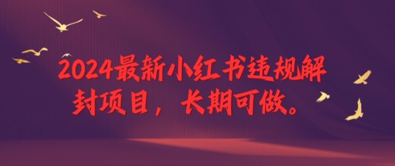 2024最新小红书违规解封项目，长期可做，一个可以做到退休的项目-怡宝聊项目