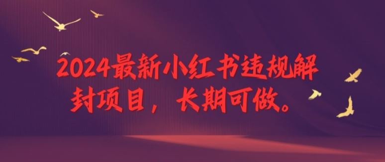 2024最新小红书违规解封项目，长期可做，一个可以做到退休的项目【揭秘】-怡宝聊项目