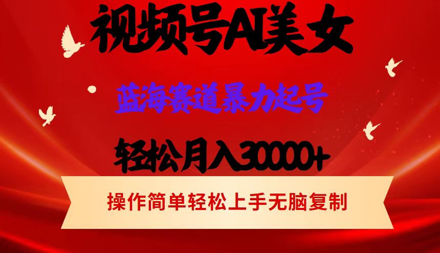 （12178期）视频号AI美女跳舞，轻松月入30000+，蓝海赛道，流量池巨大，起号猛，当…-怡宝聊项目