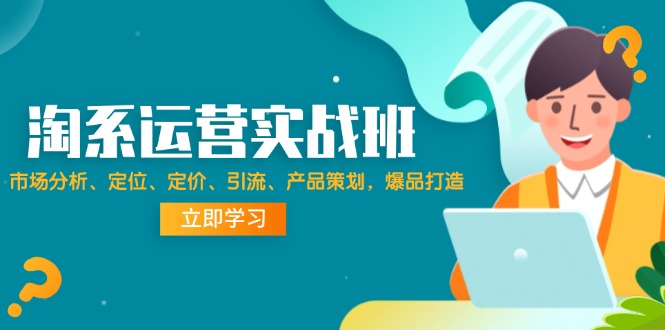 （12186期）淘系运营实战班：市场分析、定位、定价、引流、产品策划，爆品打造-怡宝聊项目