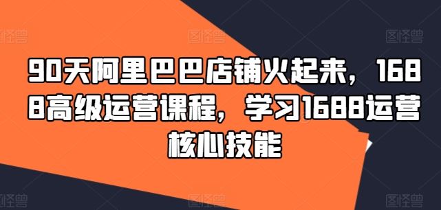 90天阿里巴巴店铺火起来，1688高级运营课程，学习1688运营核心技能-怡宝聊项目