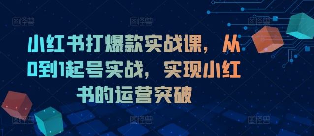 小红书打爆款实战课，从0到1起号实战，实现小红书的运营突破-怡宝聊项目