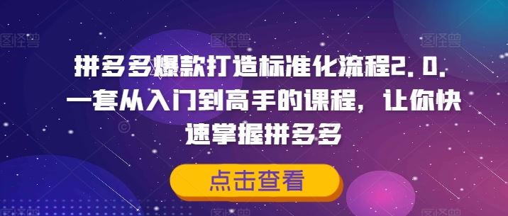 拼多多爆款打造标准化流程2.0，一套从入门到高手的课程，让你快速掌握拼多多-怡宝聊项目