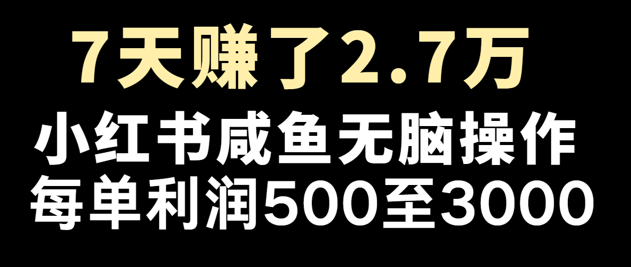 七天赚了2.7万！每单利润最少500+，轻松月入5万+小白有手就行-怡宝聊项目