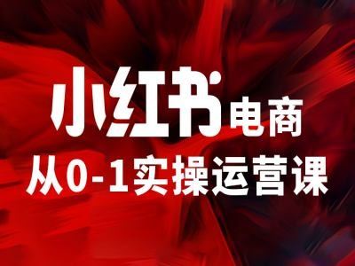 小红书电商从0-1实操运营课，让你从小白到精英-怡宝聊项目