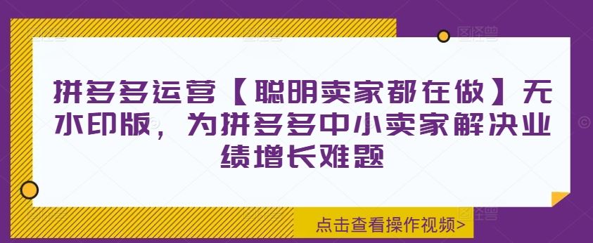 拼多多运营【聪明卖家都在做】无水印版，为拼多多中小卖家解决业绩增长难题-怡宝聊项目