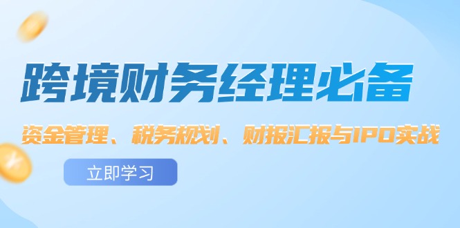 （12323期）跨境 财务经理必备：资金管理、税务规划、财报汇报与IPO实战-怡宝聊项目