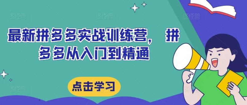 最新拼多多实战训练营， 拼多多从入门到精通-怡宝聊项目
