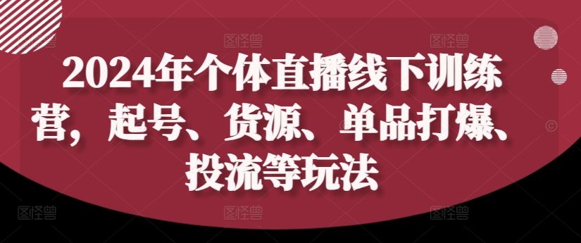2024年个体直播训练营，起号、货源、单品打爆、投流等玩法-怡宝聊项目