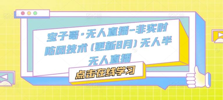 宝子哥·无人直播-非实时防风技术(更新8月)无人半无人直播-怡宝聊项目