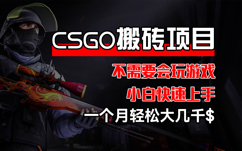 （12332期）CSGO 装备搬砖项目，操作简单，不需要会玩游戏，小白也能快速上手，一…-怡宝聊项目