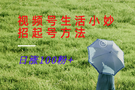 视频号生活小妙招分享赛道， 起号涨粉新方法，日涨100粉-怡宝聊项目
