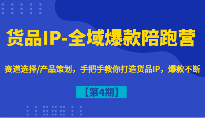 货品IP-全域爆款陪跑营【第4期】赛道选择/产品策划，手把手教你打造货品IP，爆款不断-怡宝聊项目