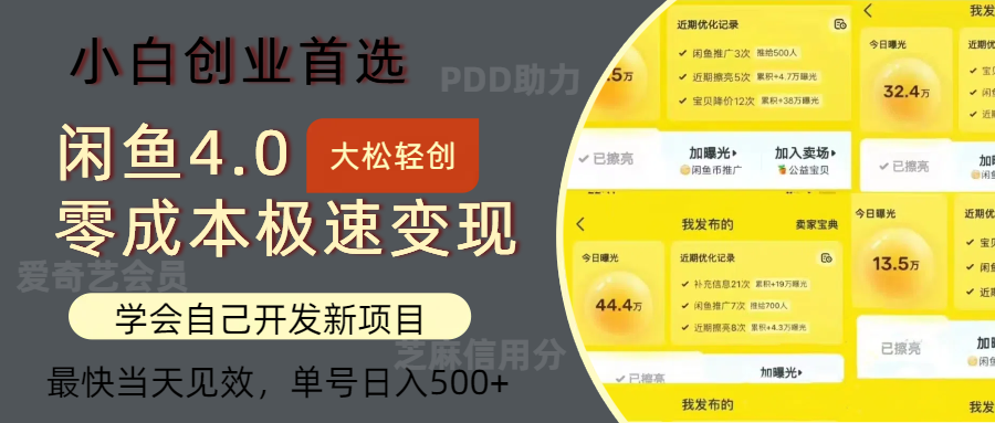 （12434期）闲鱼0成本极速变现项目，多种变现方式 单号日入500+最新玩法-怡宝聊项目