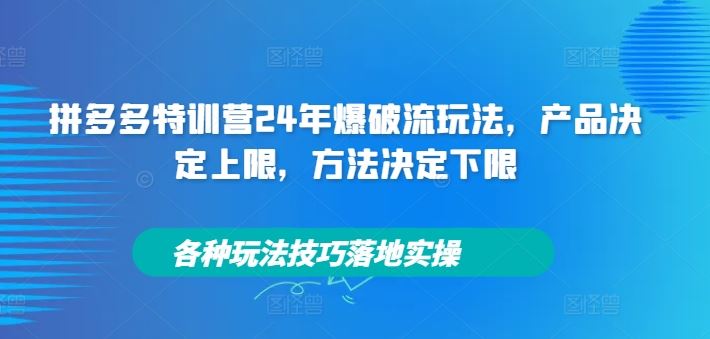 拼多多特训营24年爆破流玩法，产品决定上限，方法决定下限，各种玩法技巧落地实操-怡宝聊项目