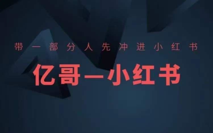 ​​带一部分人先冲进小红书，小红书开店、选品、爆款裂变-怡宝聊项目