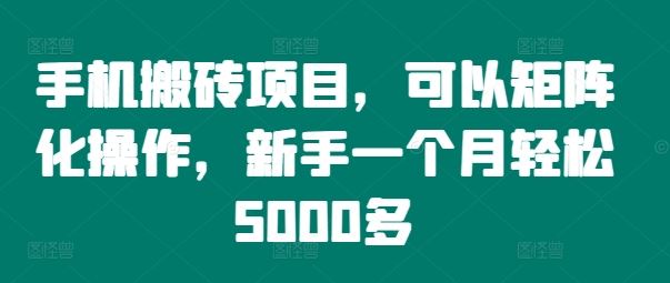 手机搬砖项目，可以矩阵化操作，新手一个月轻松5000多-怡宝聊项目