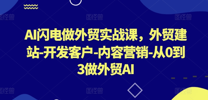 AI闪电做外贸实战课，​外贸建站-开发客户-内容营销-从0到3做外贸AI(更新)-怡宝聊项目
