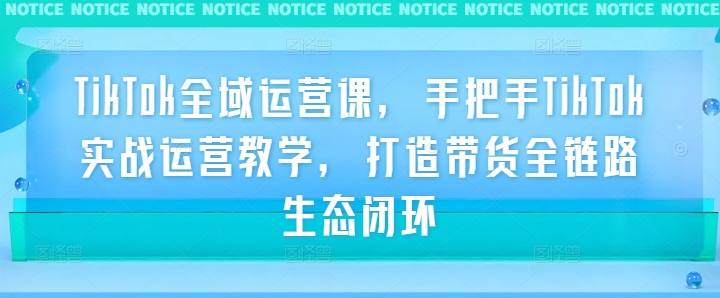 TikTok全域运营课，手把手TikTok实战运营教学，打造带货全链路生态闭环-怡宝聊项目