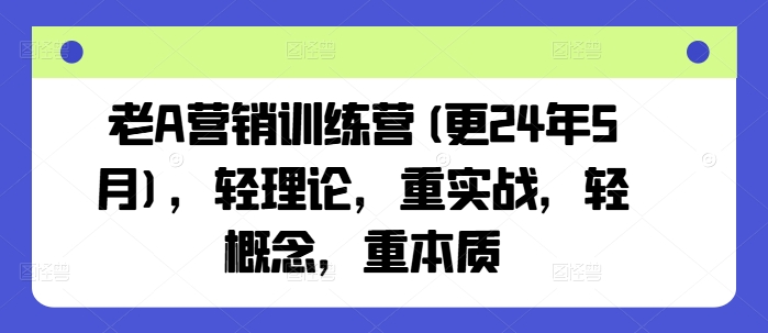 老A营销训练营(更24年9月)，轻理论，重实战，轻概念，重本质-怡宝聊项目