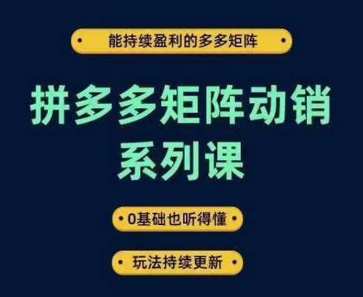 拼多多矩阵动销系列课，能持续盈利的多多矩阵，0基础也听得懂，玩法持续更新-怡宝聊项目