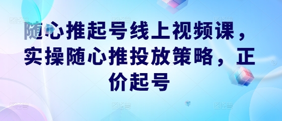 随心推起号线上视频课，实操随心推投放策略，正价起号-怡宝聊项目