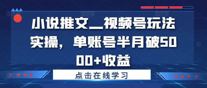 小说推文—视频号玩法实操，单账号半月破5000+收益-怡宝聊项目